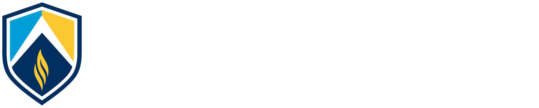 nursing program logo