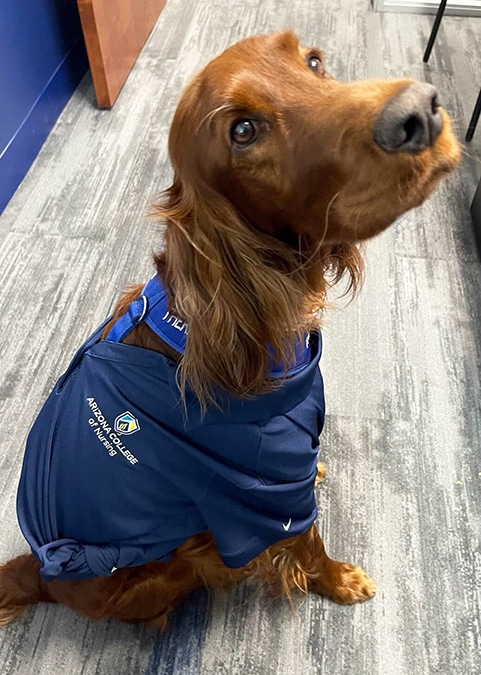 Nursing School with Hands-On Experience for BSN Degree