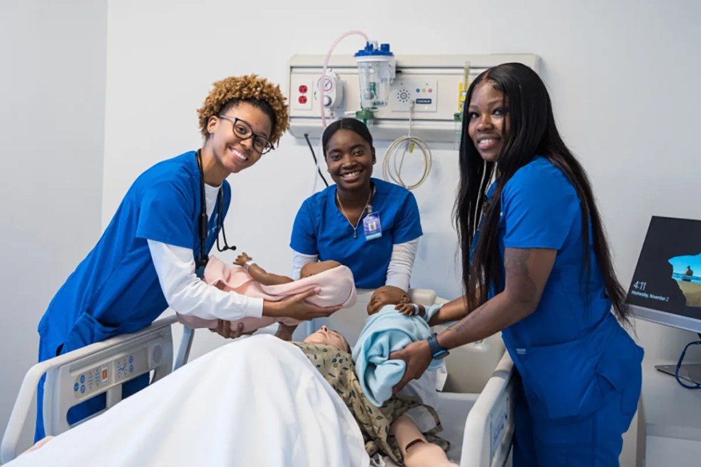 LPN Program vs BSN Program: What is the difference?