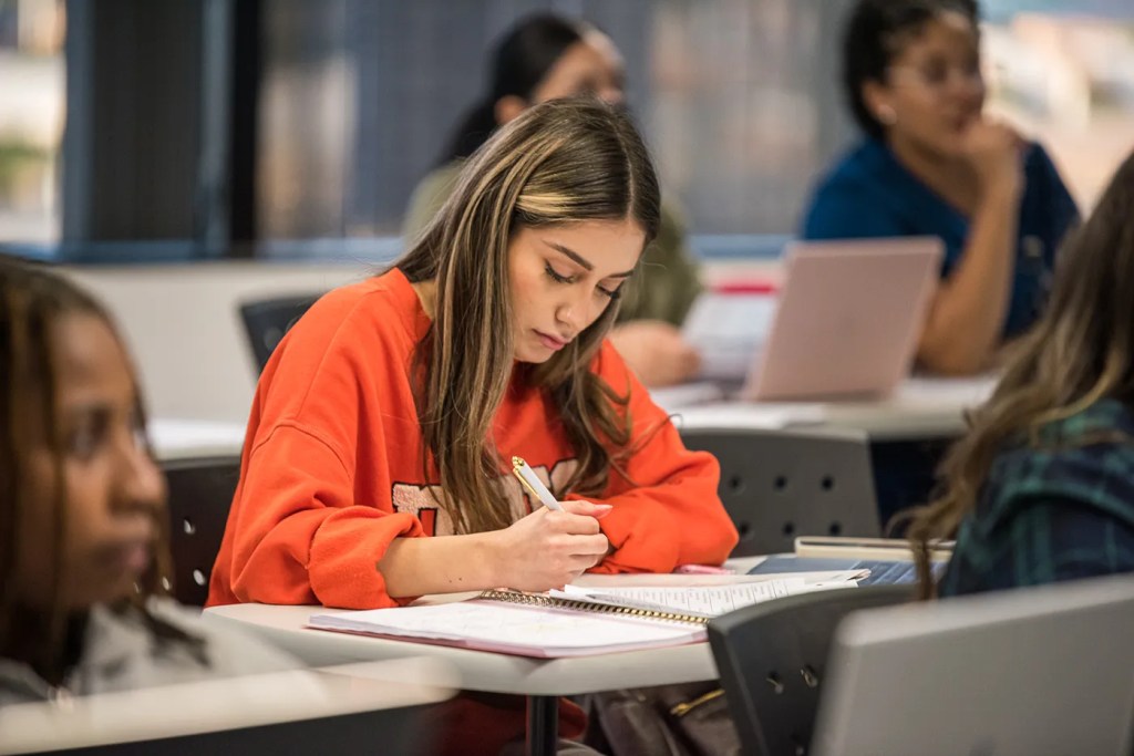 Nursing School Student Preparing for the NCLEX
