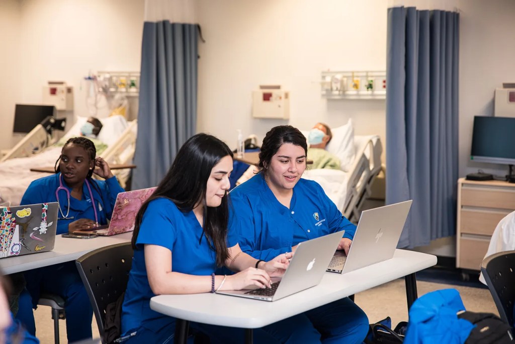 Students Studying during Nursing Program