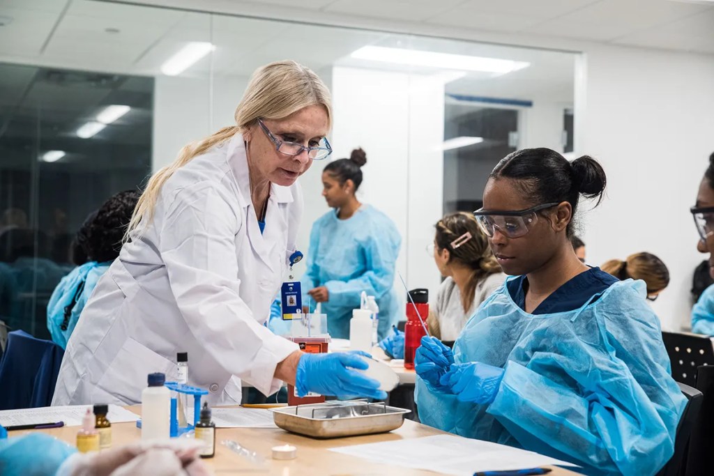 A Nursing Student’s Guide to Degrees, Licenses, and Certifications