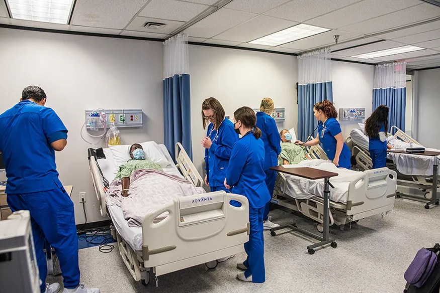 Types of Nurses and Nursing Career Paths